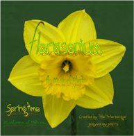 Florasonium CD Springtime