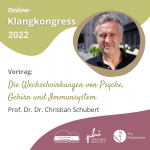 Vortrag Prof. Dr. Christian Schubert, Klangkongress 2022